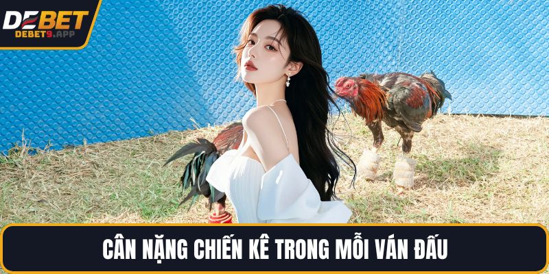 Cân nặng chiến kê trong mỗi ván đấu